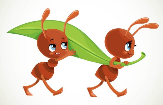 Two cute cartoon ants carry big green juicy blade of grass isolated on a white background