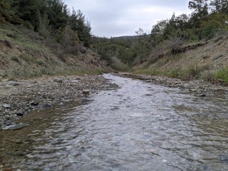 stream in the mountains