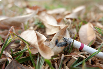 Cigarette thrown away by irresponsible person to ground. Potential of causing fire in nature