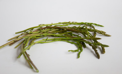 asparagus on the white background
