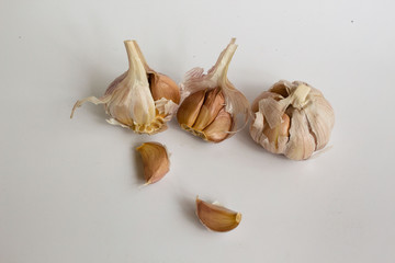 garlic on the white background
