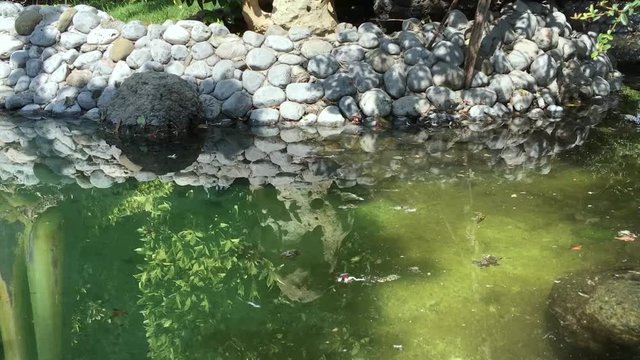 El peque&ntilde;o manantial