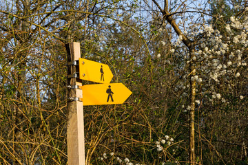 Hiking trail direction signs on crossings in a forest