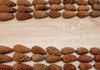 Top vieve pine cones background
