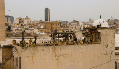 view of the city of tunis