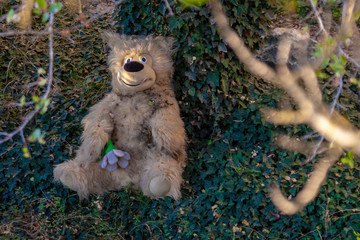lonely bear waiting for children on the street