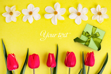 Background with flowers and a gift with place for text. Red tulips and daffodils lie on a yellow background.