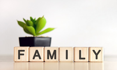 Family - text on wooden cubes and flower in a pot in the white background