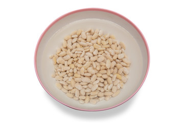 White beans  in water on isolated white background