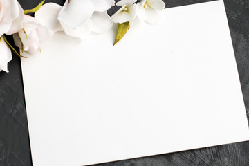 delicate white flowers and roses around. White sheet of paper for inscription on a gray background, copyspace