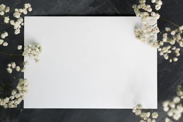 Gypsophila branches for a card or wedding invitation. White sheet of paper for inscription on a gray background, copyspace