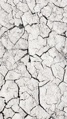 Dry mud cracked ground texture. Drought season background
