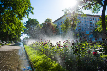 Fototapete bei efototapeten.de bestellen   