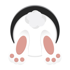 Bunny rear view