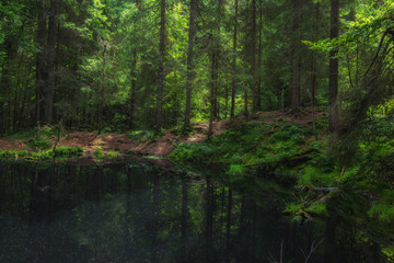 Fototapeta na wymiar Forest fairytale landscape of Calm lake with dark water in the middle of a forest. Fantasy wild landscape