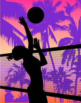 beach volley summer sports print and embroidery graphic design vector art