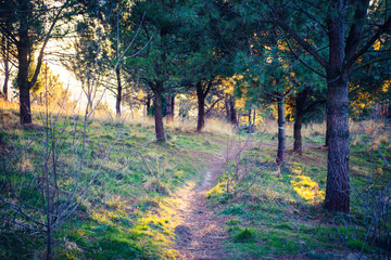 Mendiola, Monte Ulia, Donostia San Sebastian