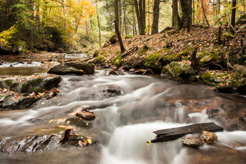 Swiftly flowing creek surrounded by a forest of fall color