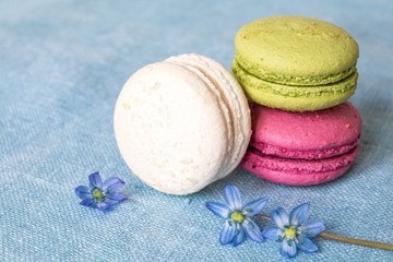 White, pistachio and purple macaroons and spring flower on a linen napkin. Macarons or macaroons is French or Italian dessert. Close-up