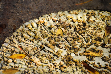 Old Weathered Yard Stone