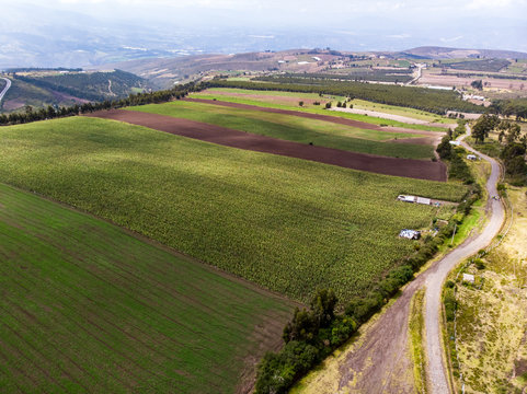 Colored stripes of various crops