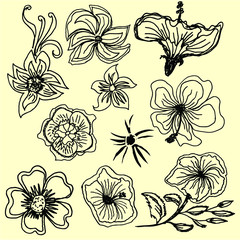 Hand drawing flower and leaf print and embroidery graphic design vector art