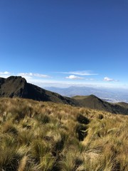 Paramoro ruco Pichincha