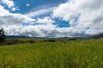 green field and blue sky of Cusco Peru