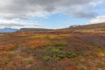 Sarek National Park in Lapland view from the mountain, autumn, Sweden, selective focus