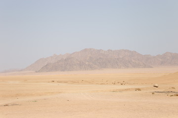 Fototapeta na wymiar Egypt desert