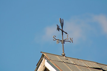 Seeing where the wind goes.