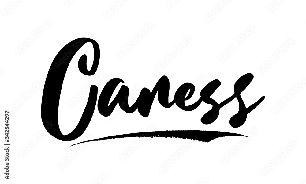 Poster caress,phrase, saying, quote text or lettering. vector script and cursive handwritten typography for