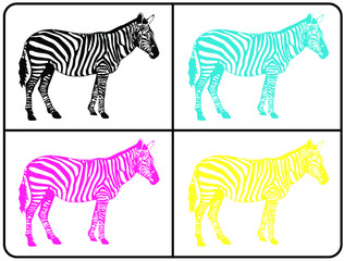 Fototapeta na wymiar set of zebra