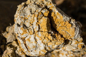 
mustard colored earth