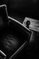 Modern dramatic interior design aesthetic.