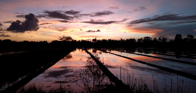 sunset