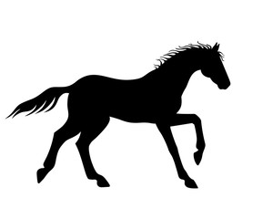 Fototapeta na wymiar Horse galloping - vector silhouette for logo or pictogram. Hand drawing. A horse in a canter phase with support on two legs. Beautiful, thoroughbred Prancing stallion - black silhouette sign 
