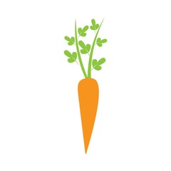 carrot illustration logo vector