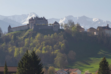 Gruyeree castle environment is switzerland at summer