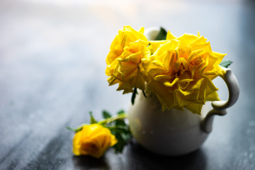 Yellow roses in a vase