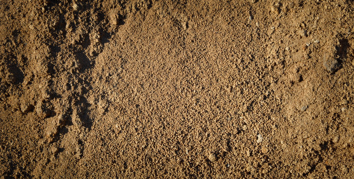 Close view of sandy soil surface.