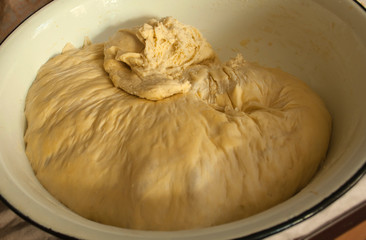 pastry dough, yeast dough for pies,