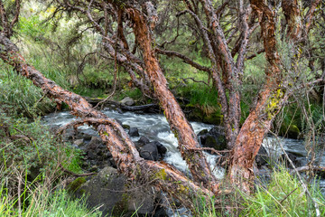 Small waterfalls