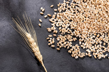 Hordeum vulgare - Raw Organic Pearl Barley. Text space