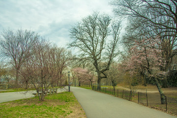 The Riverside Pak