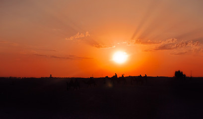 Sahara Desert Sunset