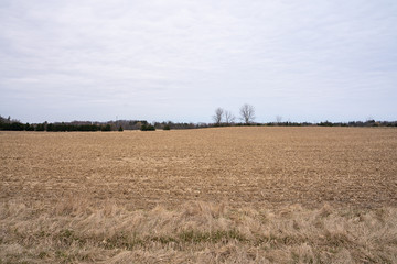 Fototapeta premium Barren Field Landscape during Spring with Cloudy Weather 