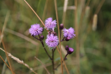 2018-07 Rhön