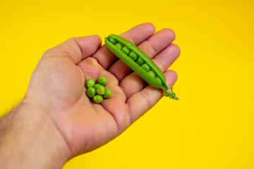 man holding green peas in his hand on yellow ground