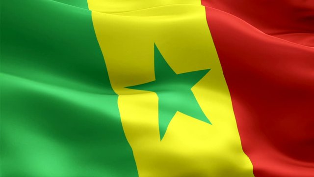 Senegal waving flag. National 3d Senegalese flag waving. Sign of Senegal seamless loop animation. Senegalese flag HD resolution Background. Senegal flag Closeup 1080p Full HD video for presentation
